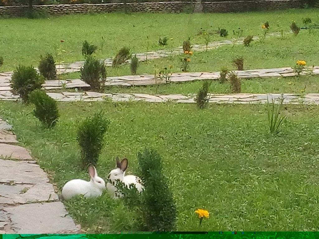 Отель Holiday Park Ranchoto Кирково Экстерьер фото
