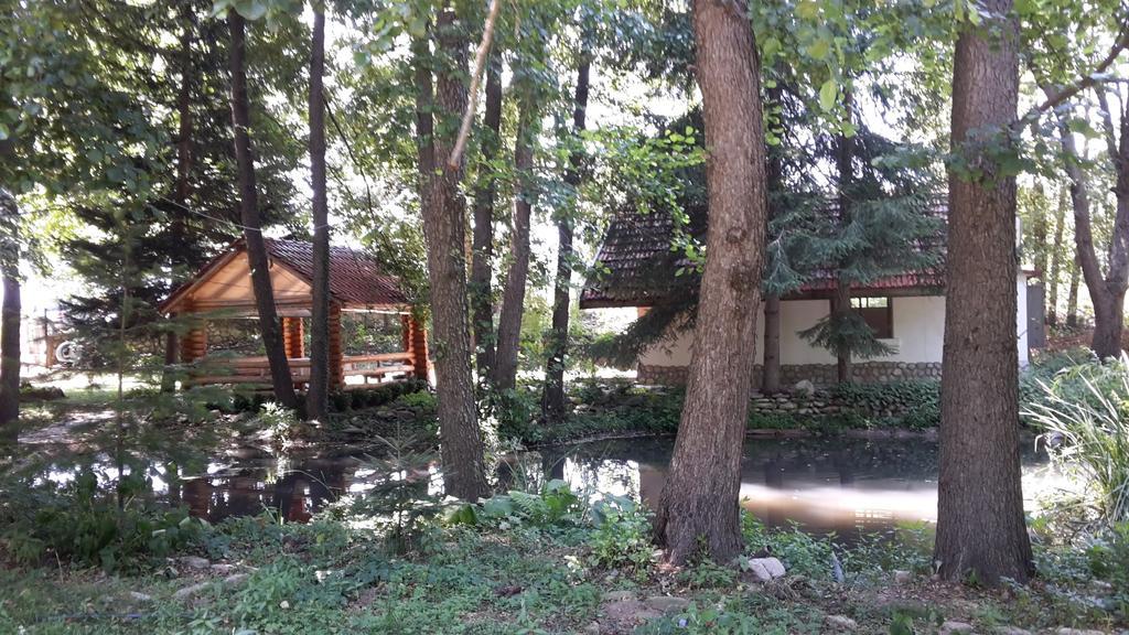 Отель Holiday Park Ranchoto Кирково Экстерьер фото